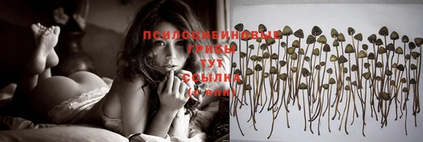 хмурый Балахна