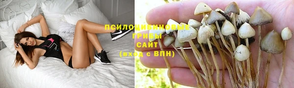 кокаин премиум Арсеньев