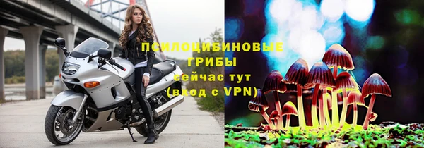 шишки Баксан